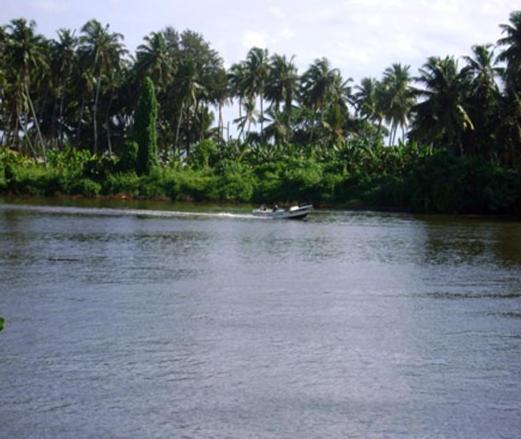 Ganga Garden Hotel Beruwala Eksteriør billede