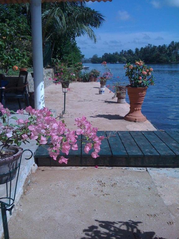 Ganga Garden Hotel Beruwala Eksteriør billede